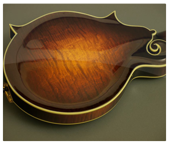 Back of Mandolins